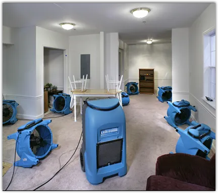 Water Damage Restoration services in Sunland Park, NM
