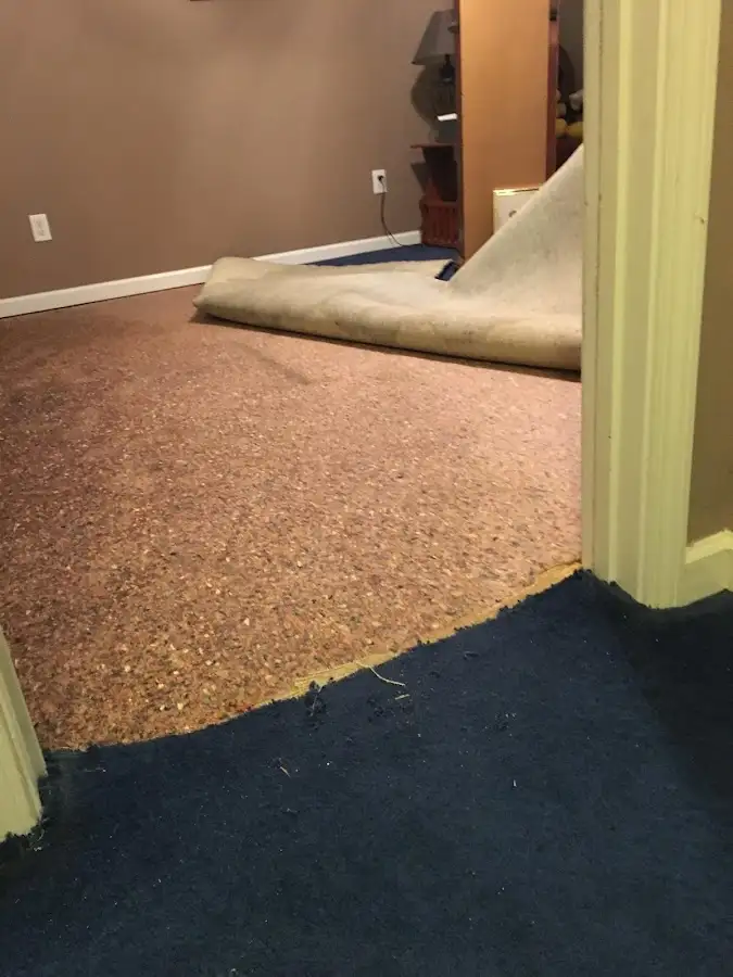 Carpet pad removal revealing water damage during Drying & Dehumidification in Sunland Park