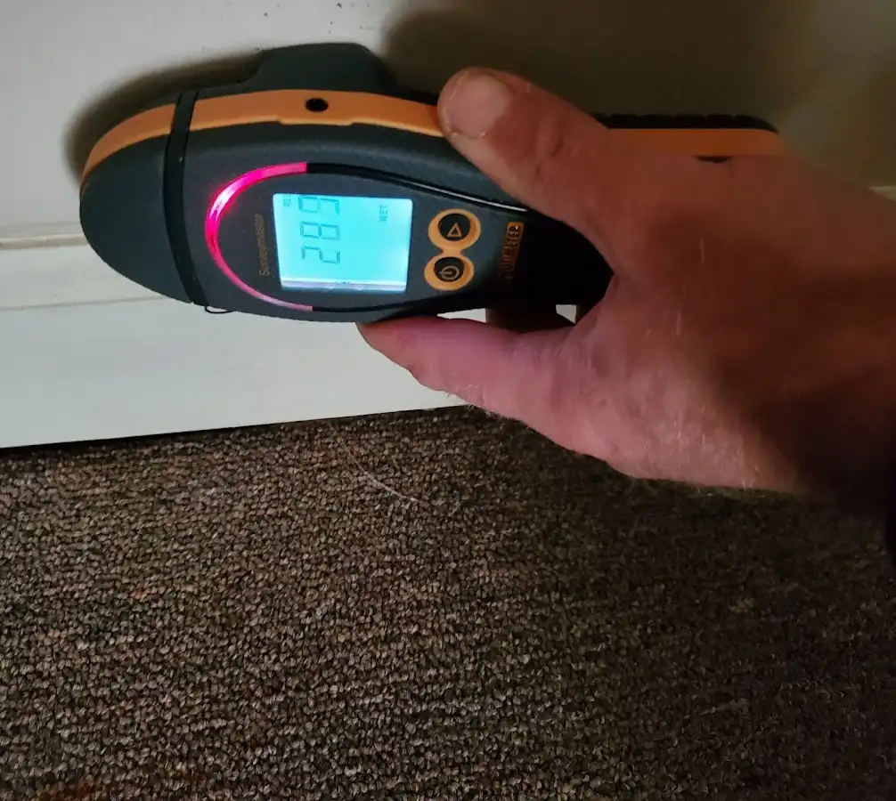 Moisture detection at baseboard during Mold Inspection & Testing in Sunland Park